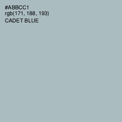 #ABBCC1 - Cadet Blue Color Image